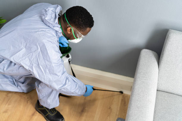 Real Estate Pest Inspections in Big Coppitt Key, FL